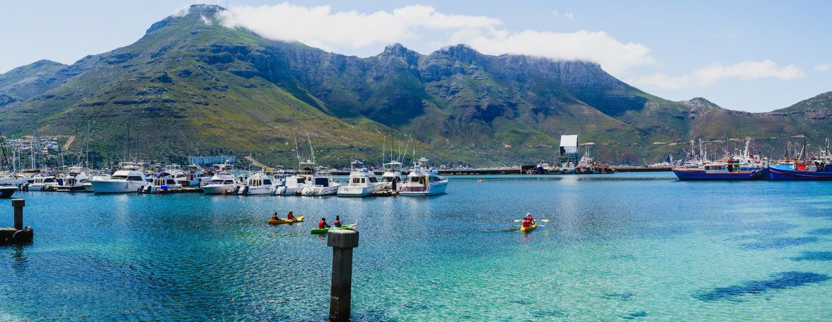 Group of kayaking in Hout Bay