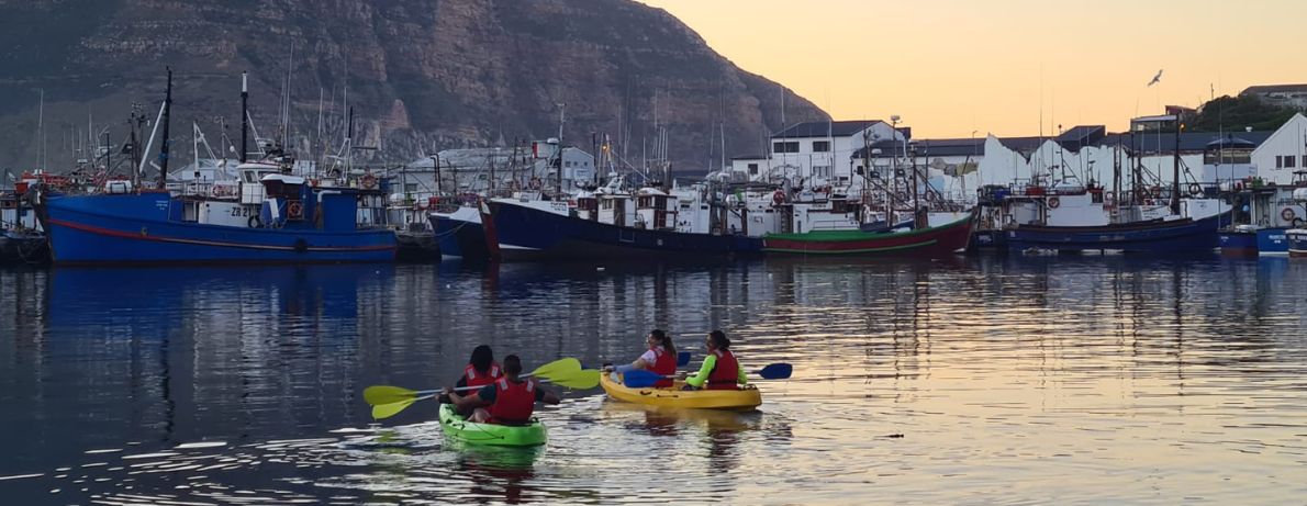 Group of kayaking in Hout Bay