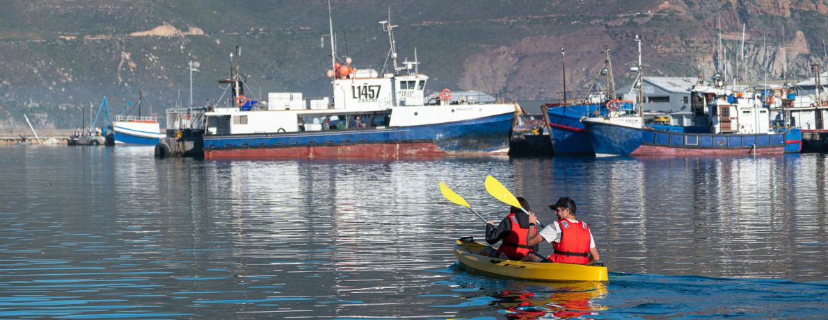 Group of kayaking in Hout Bay