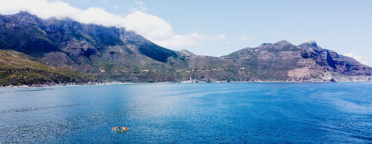 Group of kayaking in Hout Bay