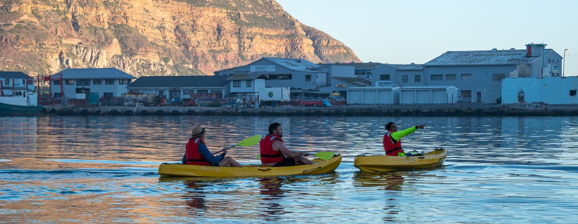 Group of kayaking in Hout Bay